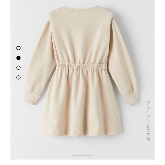 Zara Plush Shoulder Pad Dress - Picture 3 of 3